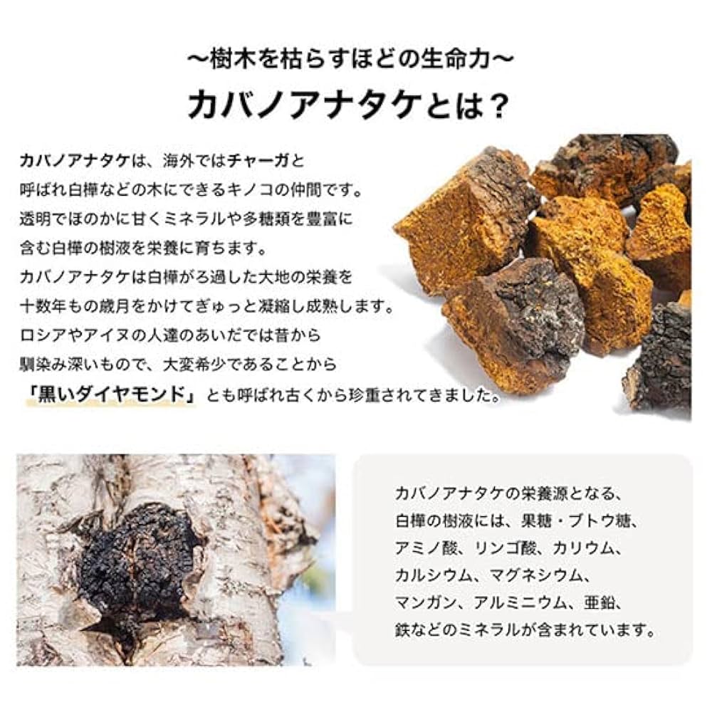 【新品未開封】樺のあな茸茶 30g Amazon.co.jp: 樺のあな茸茶 ティーパック ノンカフェイン